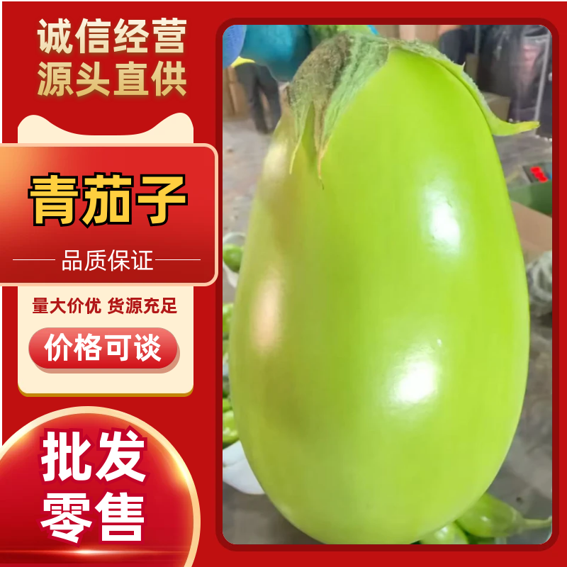 海南青茄子，质量保证，价格合理，对接全国，量大从优