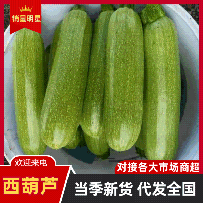 云南精品西葫芦，货源充足，长期有货，正品保障，欢迎咨询