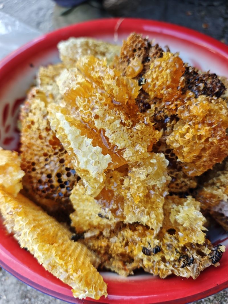 蜂蜜野生蜂蜜现割现发一手货源量大从优欢迎来电