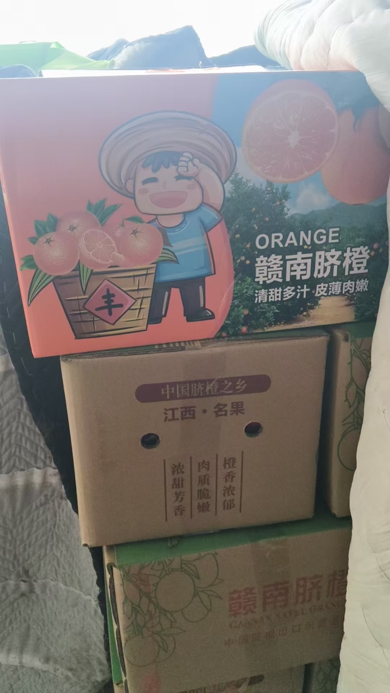 赣南脐橙产地直发货源充足量大从优电商市场一件代发