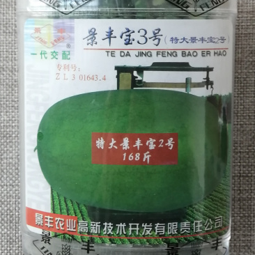 景丰宝3号西瓜种子绿皮大西瓜种子瓜大籽少高产