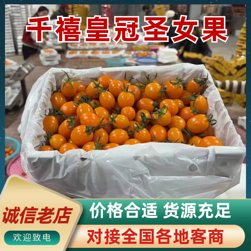 香芒皇后千喜皇冠圣女果产地供应链欢迎团购前来合作共赢