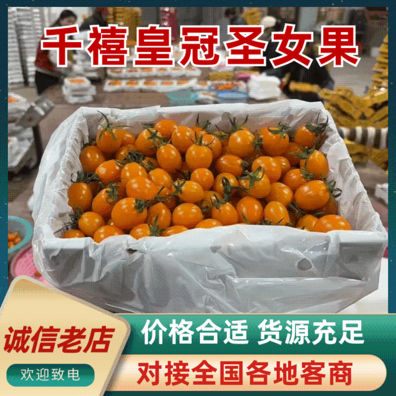 香芒皇后千喜皇冠圣女果产地供应链欢迎团购前来合作共赢