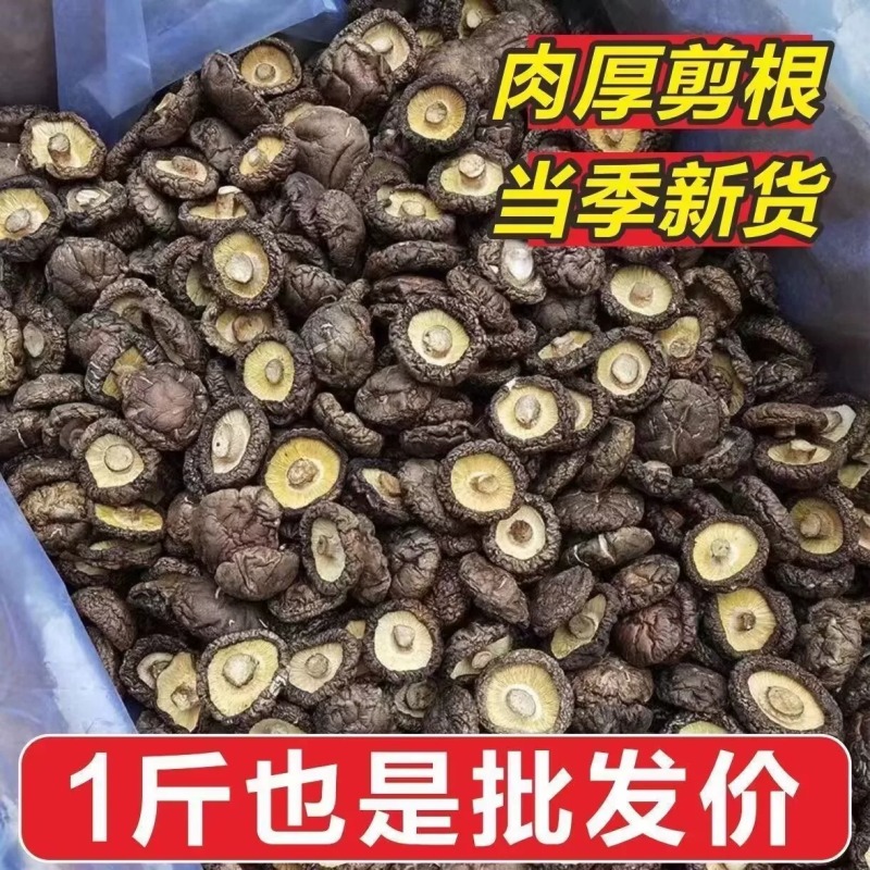 【26年新货】西峡干香菇河南特产优质面菇