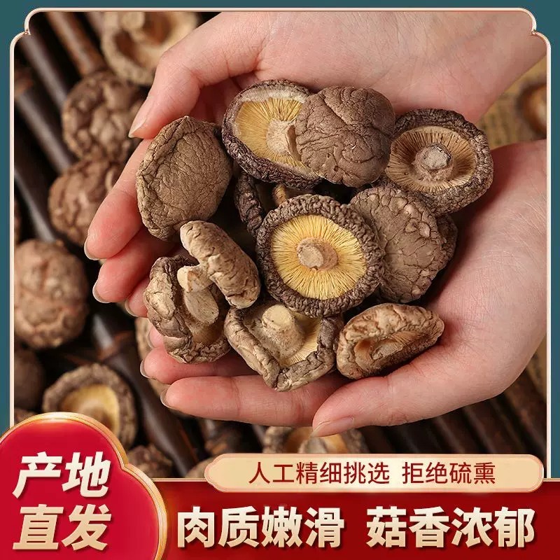 【26年新货】西峡干香菇河南特产优质面菇