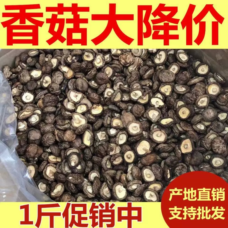 【26年新货】西峡干香菇河南特产优质面菇
