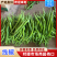 广东线椒，鲜辣椒，产地直发，一手货源，欢迎咨询