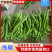 广东线椒，鲜辣椒，产地直发，一手货源，欢迎咨询