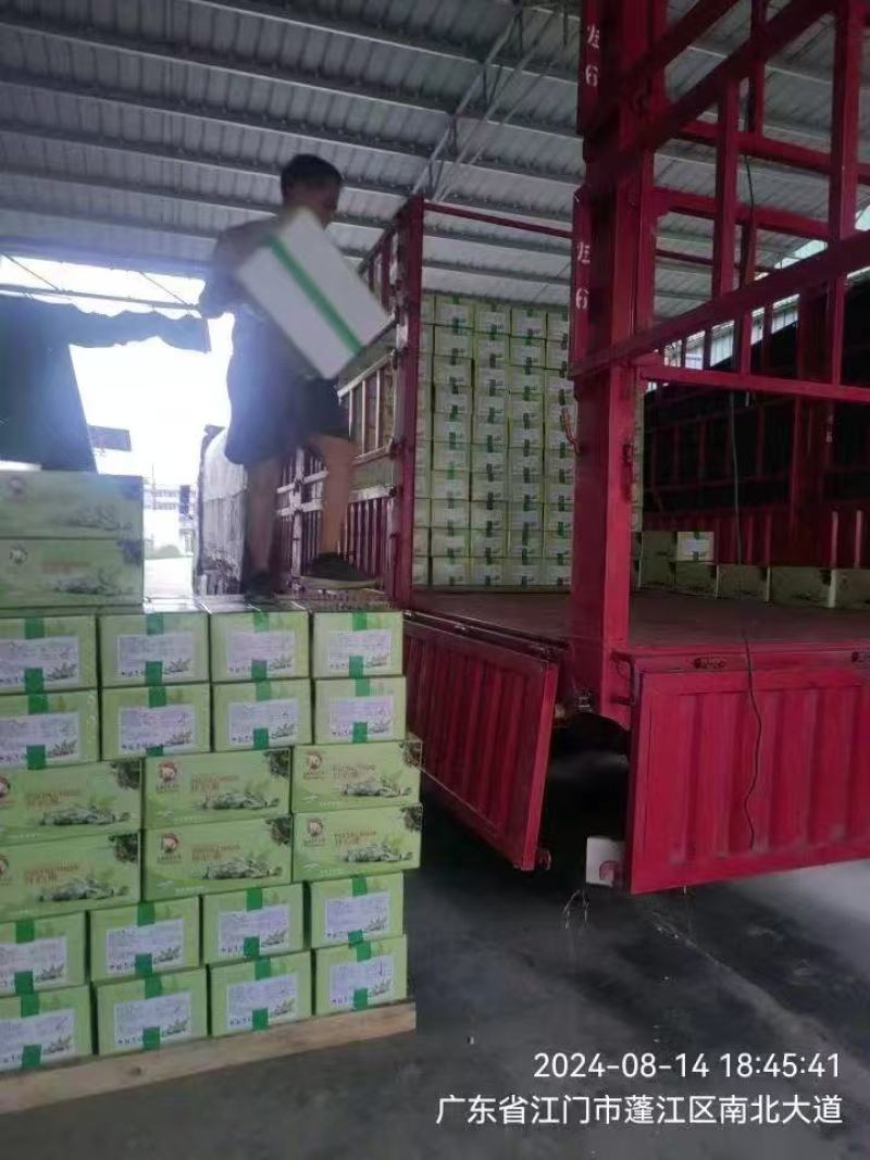 推荐开心果坚果干果开心果口感好品质佳诚信经营对接商超市场