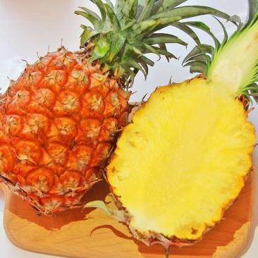 海南芒果凤梨新鲜水果芒果味金钻大菠萝顺丰一件代发