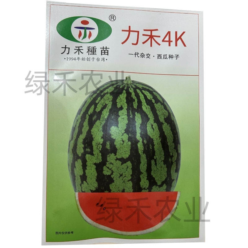 力禾4K西瓜种子春秋种植西瓜种籽肉质较紧实口感脆爽果实椭