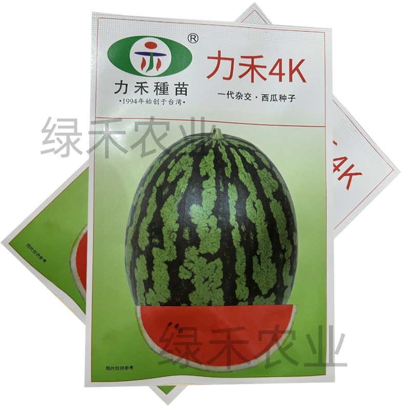 力禾4K西瓜种子春秋种植西瓜种籽肉质较紧实口感脆爽果实椭