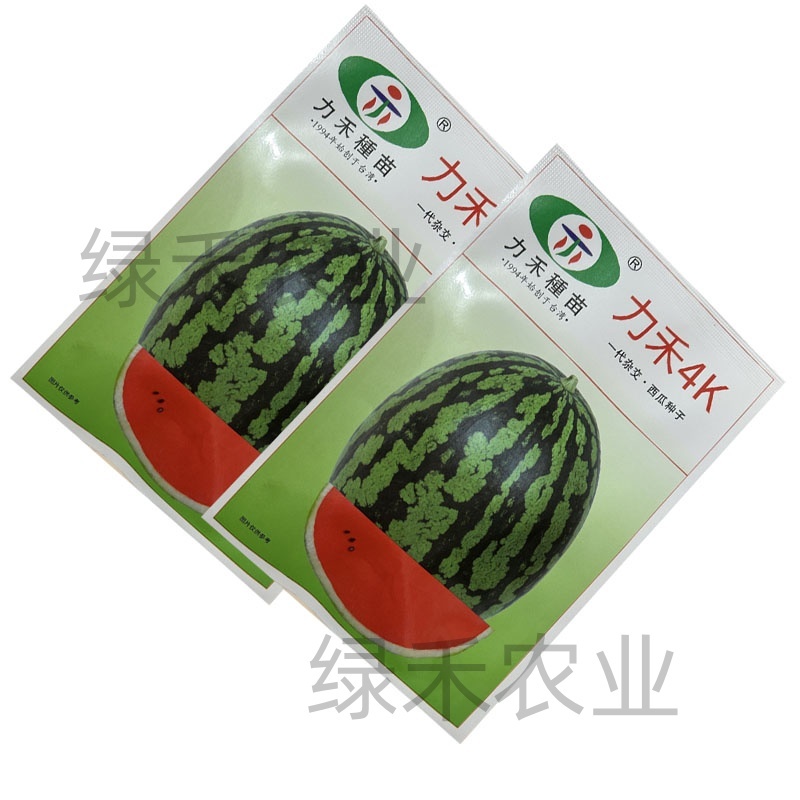 力禾4K西瓜种子春秋种植西瓜种籽肉质较紧实口感脆爽果实椭