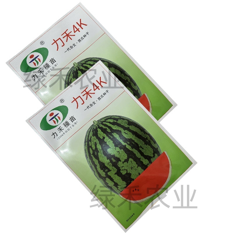力禾4K西瓜种子春秋种植西瓜种籽肉质较紧实口感脆爽果实椭