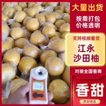 江永张氏沙田柚脆糯甜多汁纯甜无杂味可视频看货