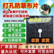 防草布，大量现货速发，效果**，源头直发欢迎选购