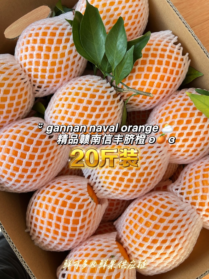 【包邮】江西赣南脐橙/精品礼盒装/万亩基地发往全国