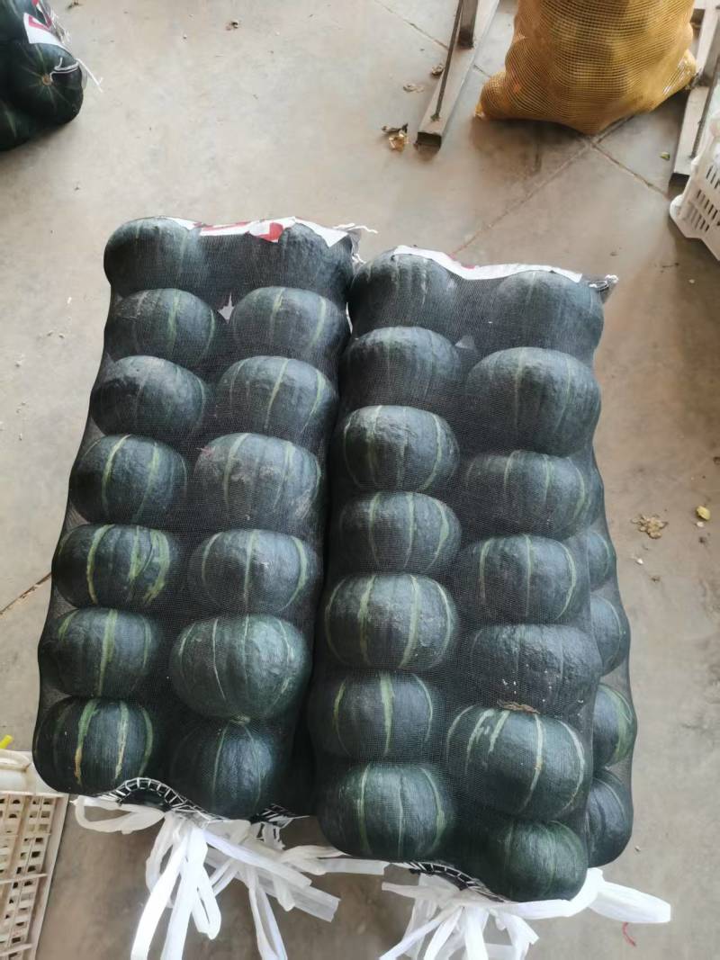 河北精品贝贝南瓜🎃/量大价优/一手货源/产地直发/诚信经营