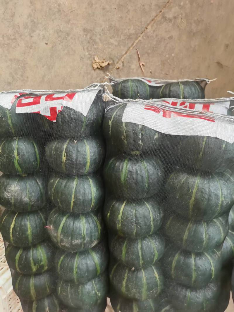 河北精品贝贝南瓜🎃/量大价优/一手货源/产地直发/诚信经营