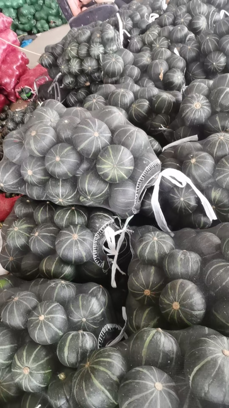 河北精品贝贝南瓜🎃/量大价优/一手货源/产地直发/诚信经营