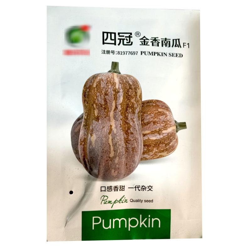 四冠金香南瓜种子花生小南瓜香甜粉肉厚矮生大田基地型