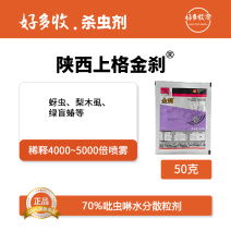 陕西上格金刹70%吡虫啉水分散颗粒剂50克