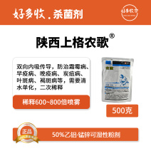 陕西上格农歌50%乙铝.锰锌可湿性粉剂500克