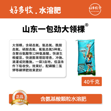 山东一包劲大领棵氨基酸含氮颗粒水溶肥40公斤