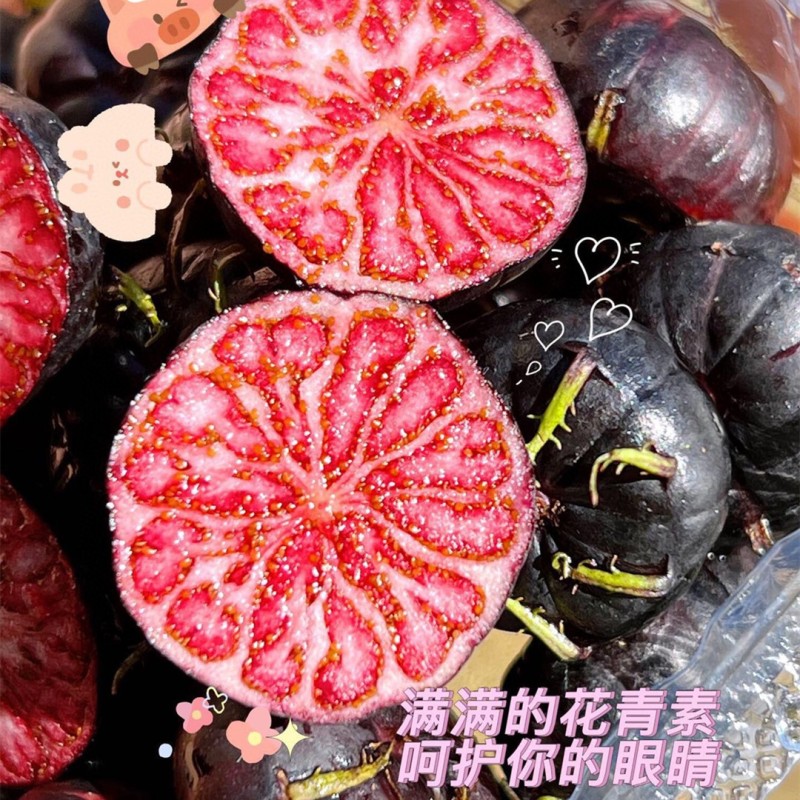正宗云南红果参新鲜当季水果蜘蛛果抖音团购批发一件代发