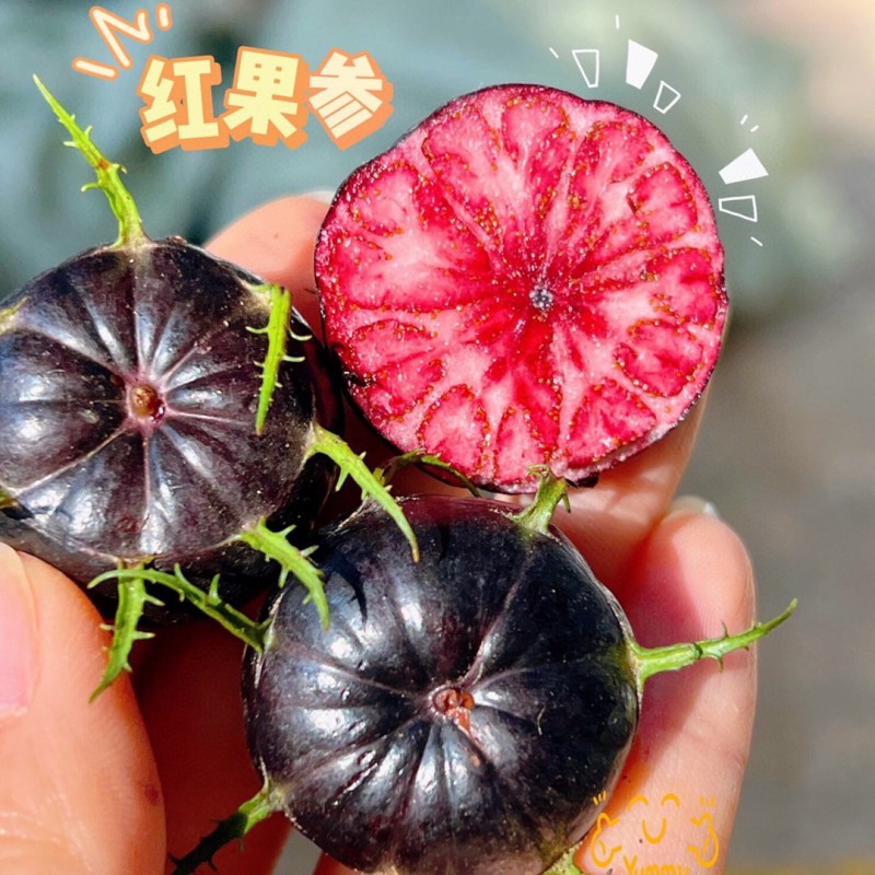正宗云南红果参新鲜当季水果蜘蛛果抖音团购批发一件代发