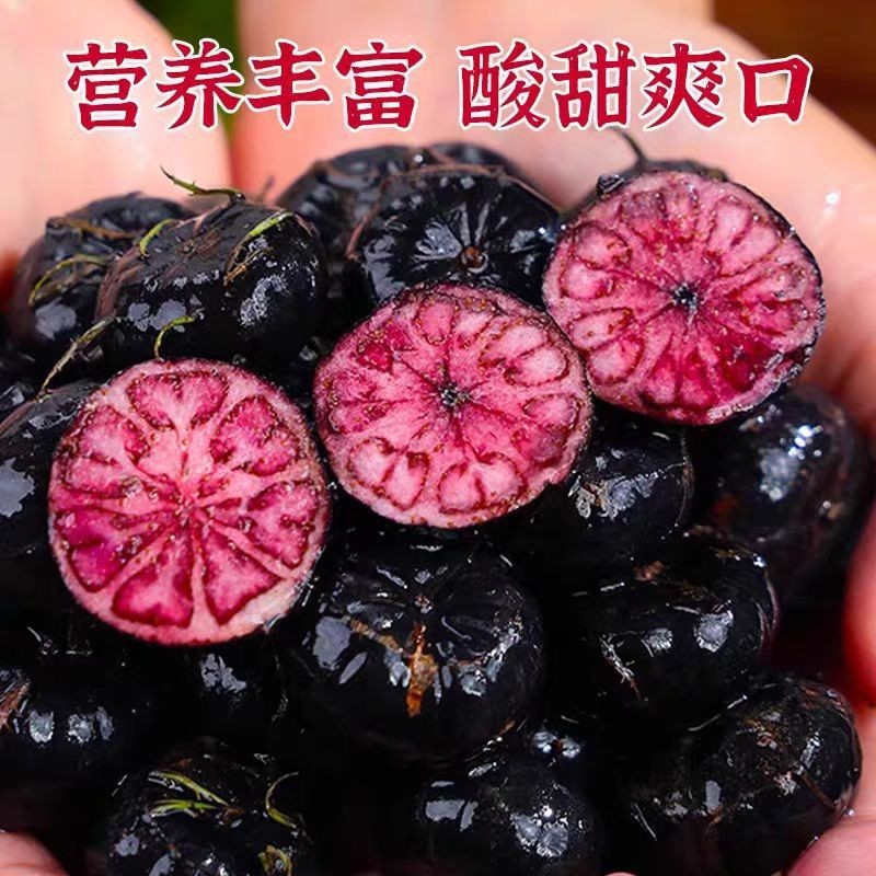 正宗云南红果参新鲜当季水果蜘蛛果抖音团购批发一件代发