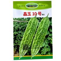 晶玉10号绿苦瓜种子中早熟珍珠瘤瓜皮翠绿色连续座果多