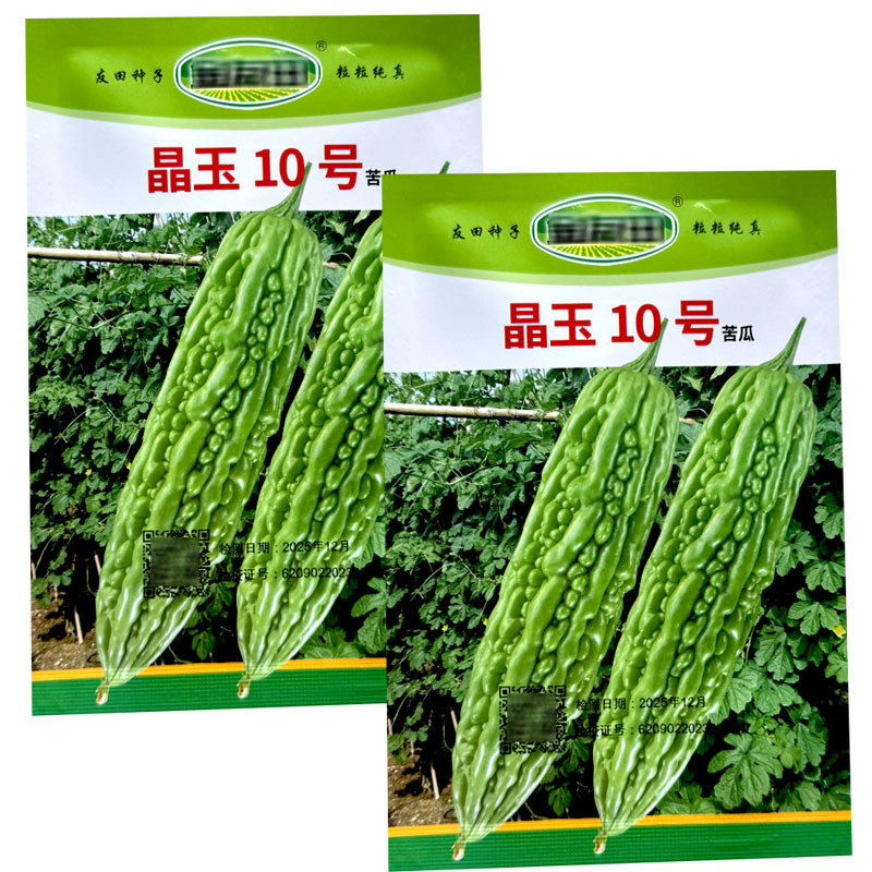 晶玉10号绿苦瓜种子中早熟珍珠瘤瓜皮翠绿色连续座果多
