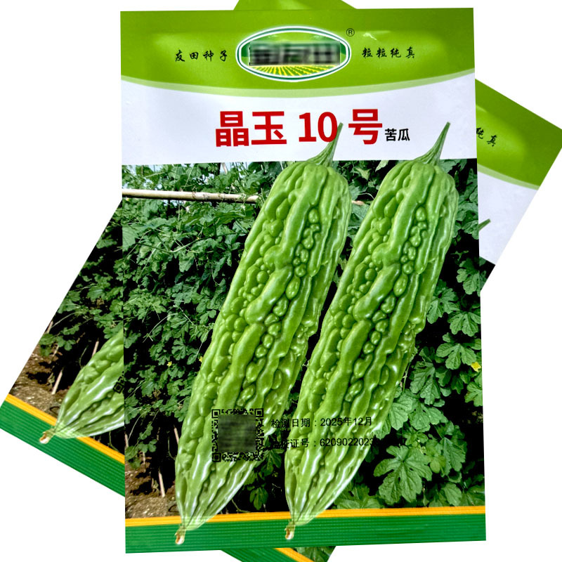 晶玉10号绿苦瓜种子中早熟珍珠瘤瓜皮翠绿色连续座果多