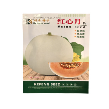 红心月香瓜种子早熟大果白皮橘红肉基地高产甜瓜种子