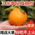 【四川春见耙耙柑】现摘现发非青见非爱媛果冻橙8斤新鲜水果