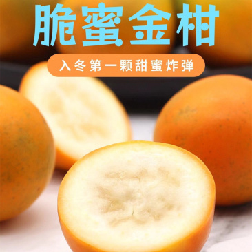 【广西融安·脆蜜金柑】爆甜爆汁现摘现发5斤新鲜水果一件