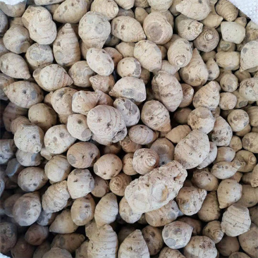 云南血三七中药材泡酒料黄心血三七红心血1斤三七根大货批发