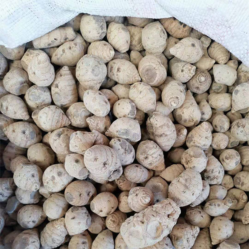 云南血三七中药材泡酒料黄心血三七红心血1斤三七根大货批发