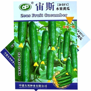 宙斯水果黄瓜种子早熟雌翠绿肉质脆嫩无渣抗病无刺小黄瓜种子