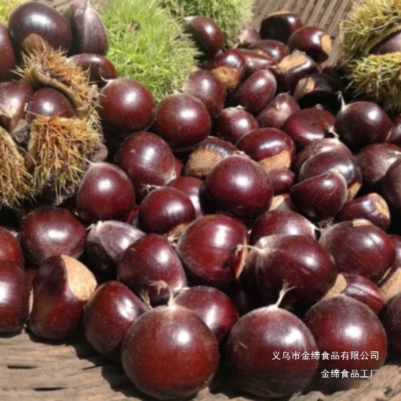 新鲜丹东板栗新鲜栗子果子生嫩大板栗抖音团购批发一件代发