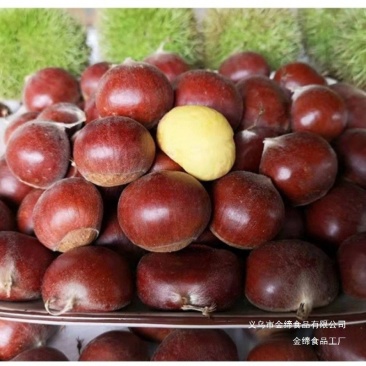 新鲜丹东板栗新鲜栗子果子生嫩大板栗抖音团购批发一件代发