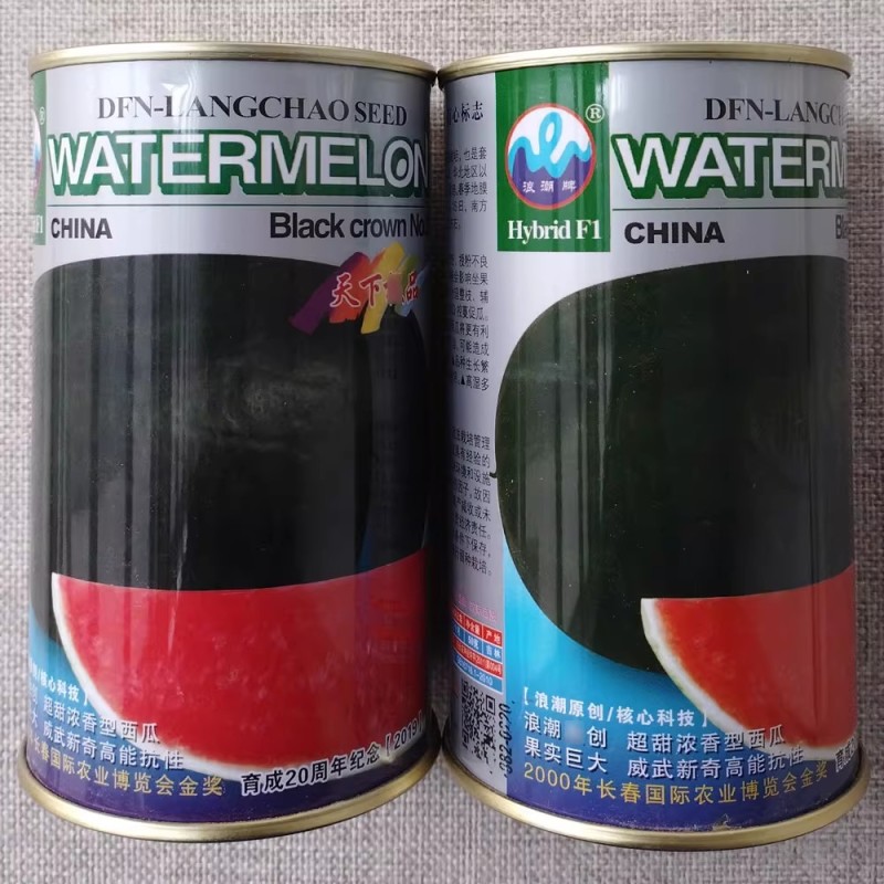 浪潮乌冠二号特大黑皮西瓜种子奶香味西瓜种籽酥脆多汁糖度高