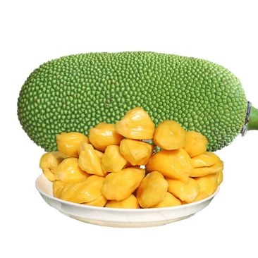 海南三亚黄肉菠萝蜜当季热带新鲜水果抖音团购批发一件代发