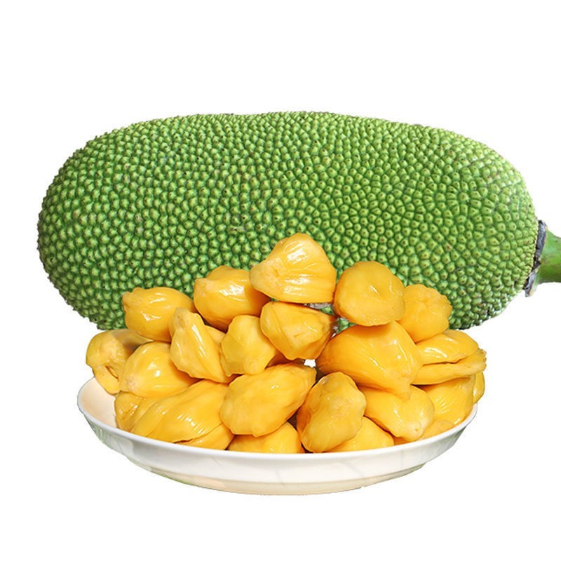 海南三亚黄肉菠萝蜜当季热带新鲜水果抖音团购批发一件代发