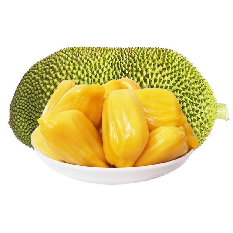 海南三亚黄肉菠萝蜜当季热带新鲜水果抖音团购批发一件代发