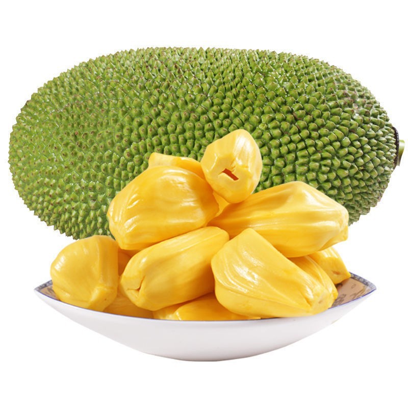 海南三亚黄肉菠萝蜜当季热带新鲜水果抖音团购批发一件代发