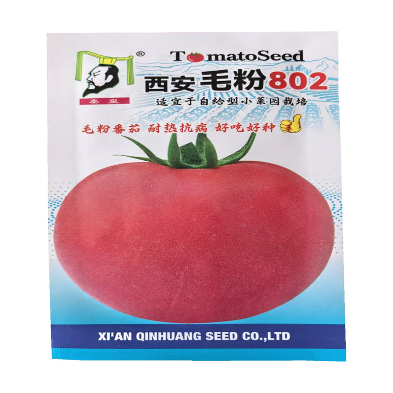 西安毛粉802粉红番茄种子高秧粉果硬果大果高产西红柿种子