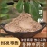 川芎粉中药材粉批发各种中药材粉承接大货川芎粉量大优惠