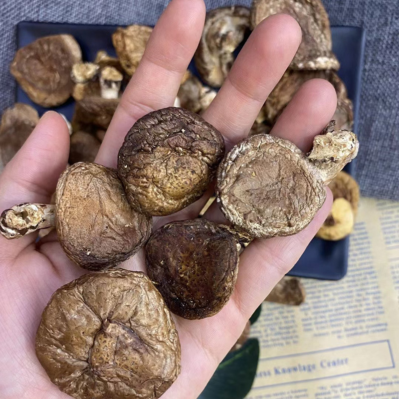 云南香菇干货散装小香菇椴木香菇食用香菇500g香菌菇煲汤